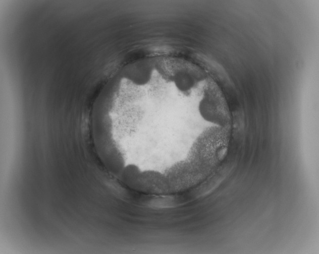 X0000111190369200907291208