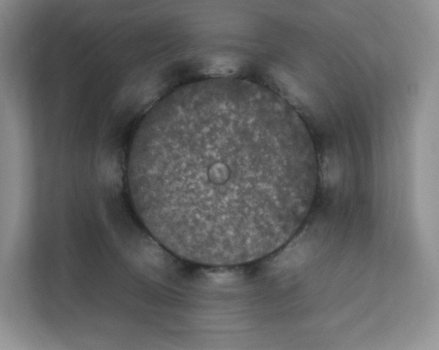 X0000111190370200907291209