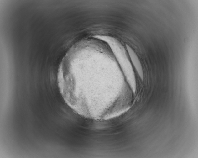 X0000111190371200907291209