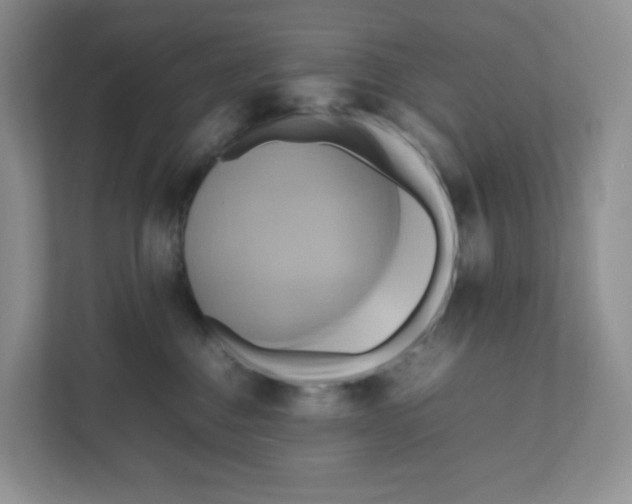 X0000111190376200907291209