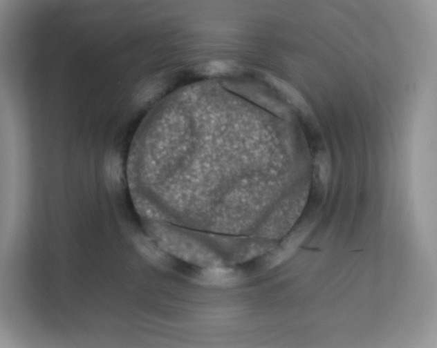 X0000111190380200907291209