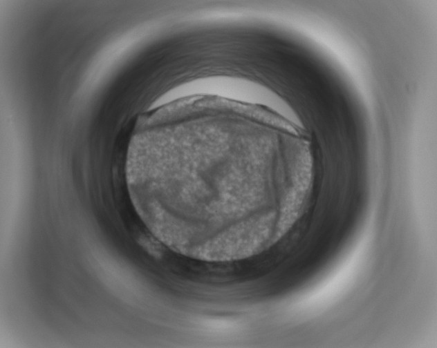 X0000111190382200907291209