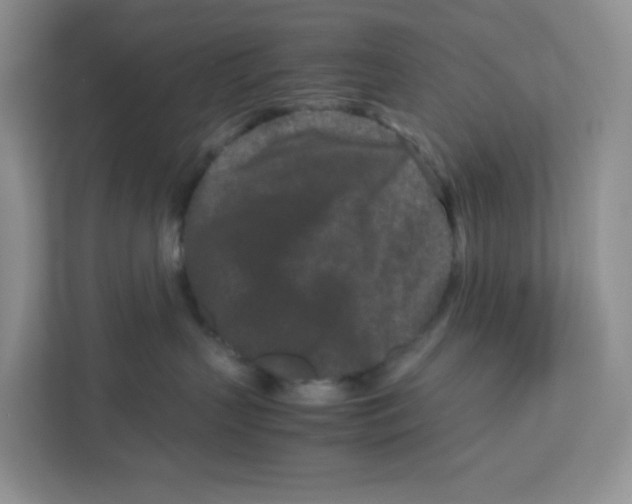X0000111190383200907291209
