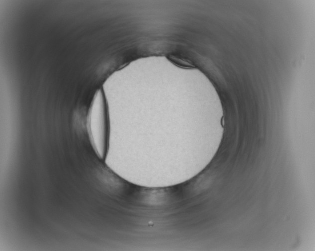 X0000111190384200907291209