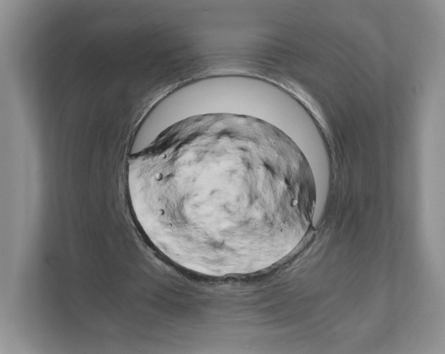 X0000111190385200907291208