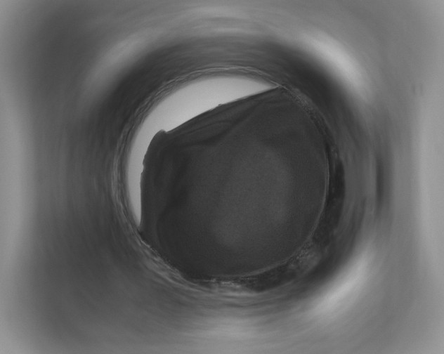 X0000111190387200907291208