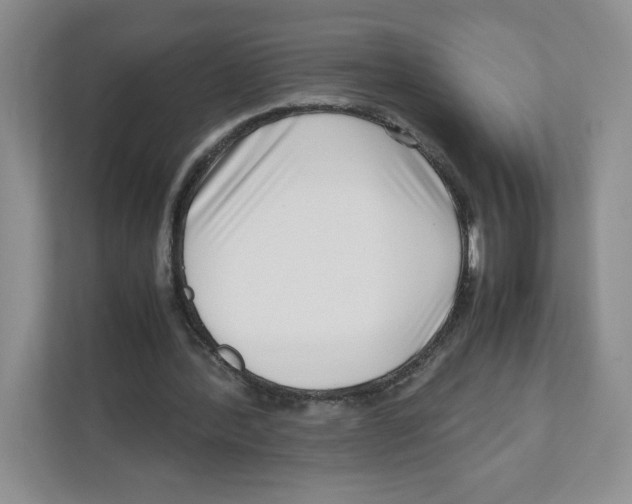 X0000111190388200907291208