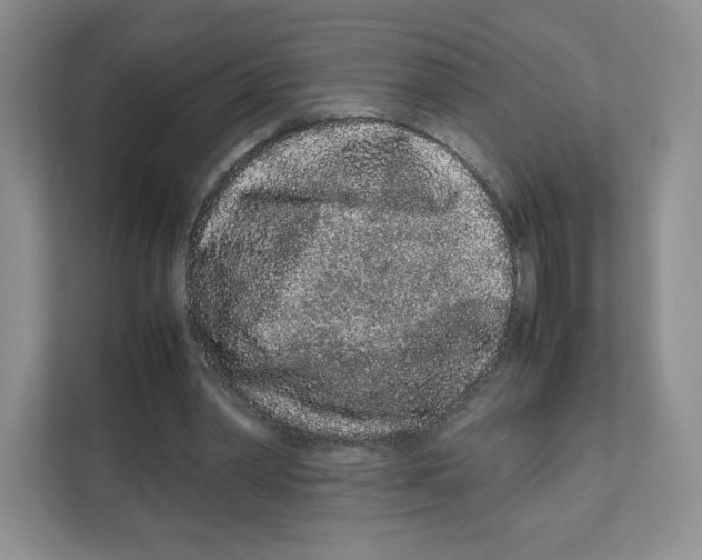 X0000111190390200907291208