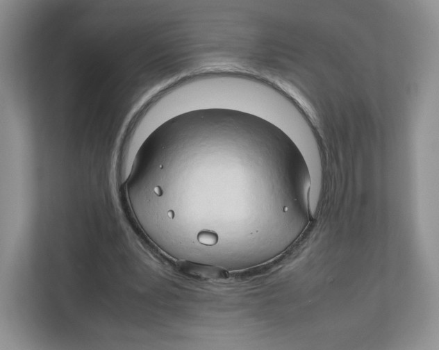 X0000111190391200907291208