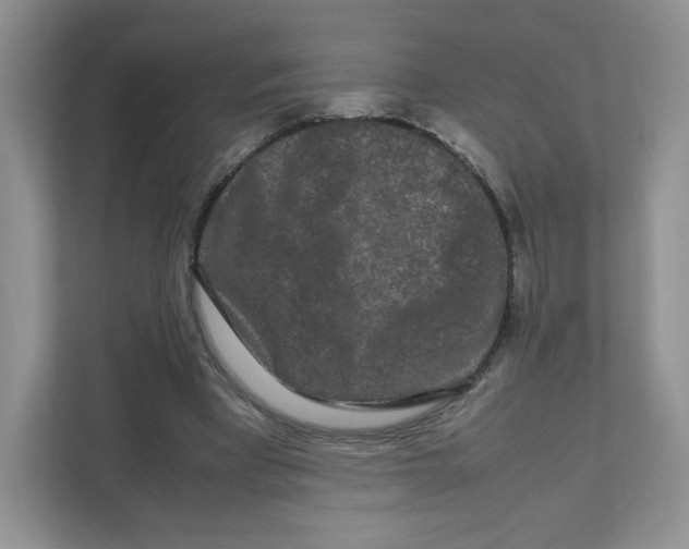 X0000111190393200907291208