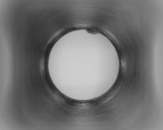 X0000111190396200907291208