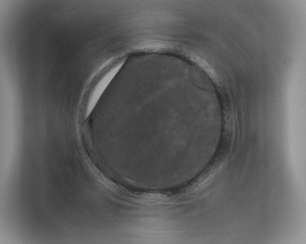 X0000111190399200907291208