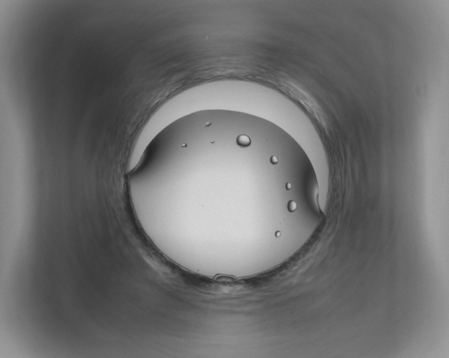 X0000111190401200907291208
