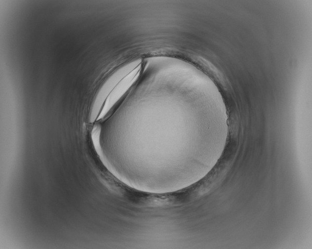 X0000111190405200907291208
