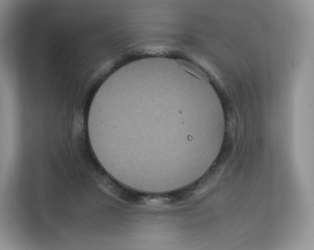 X0000111190407200907291208