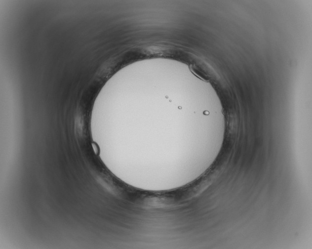 X0000111190408200907291208