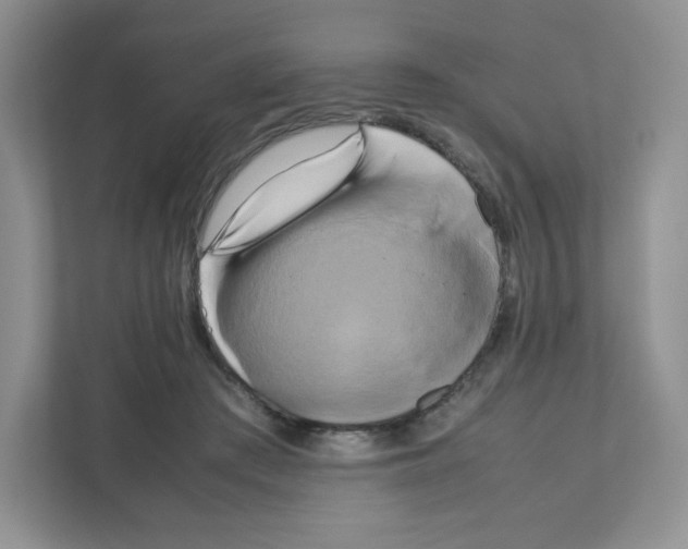X0000111190409200907291208