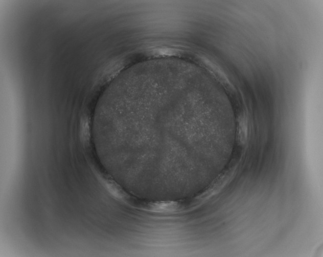 X0000111190410200907291208