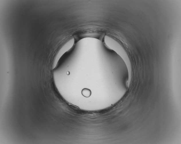 X0000111190411200907291208