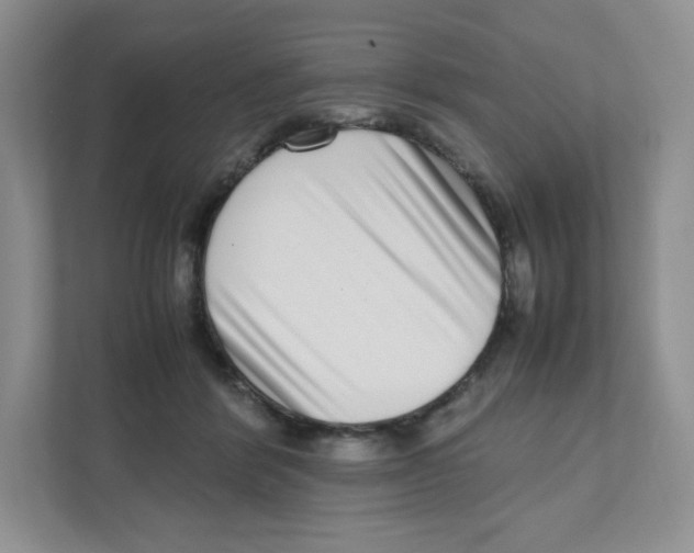 X0000111190412200907291208
