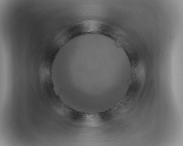 X0000111190415200907291208