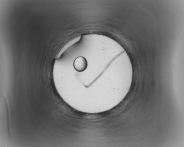X0000111190417200907291208