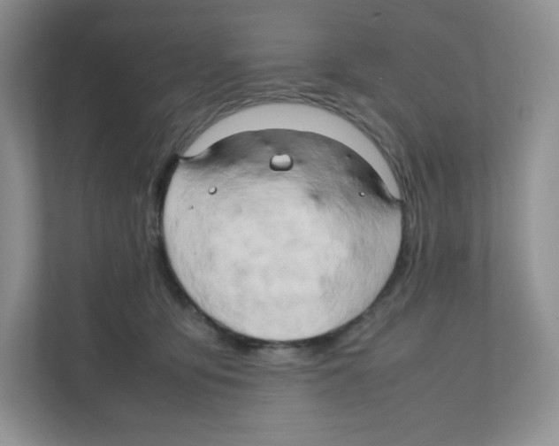 X0000111190419200907291208