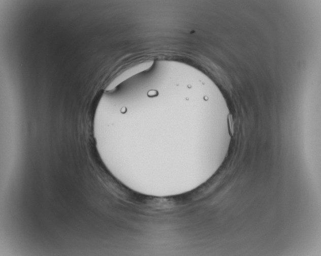 X0000111190421200907291208