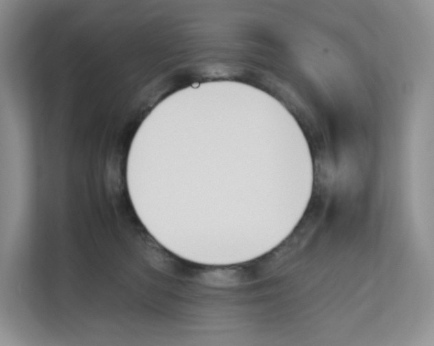 X0000111190422200907291208