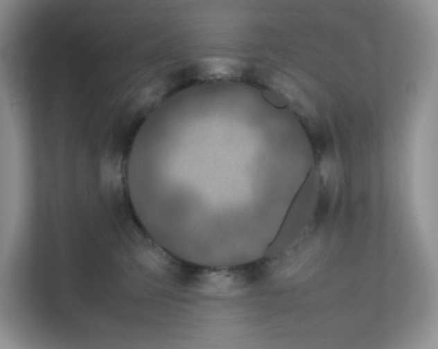 X0000111190423200907291208