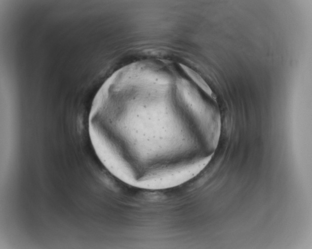 X0000111190424200907291208