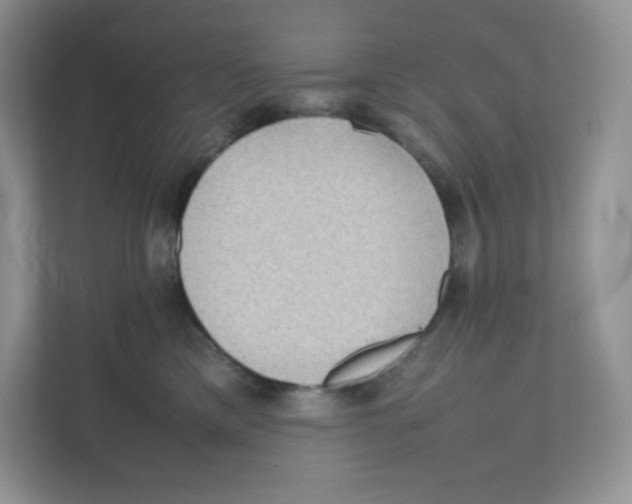 X0000111190425200907291208