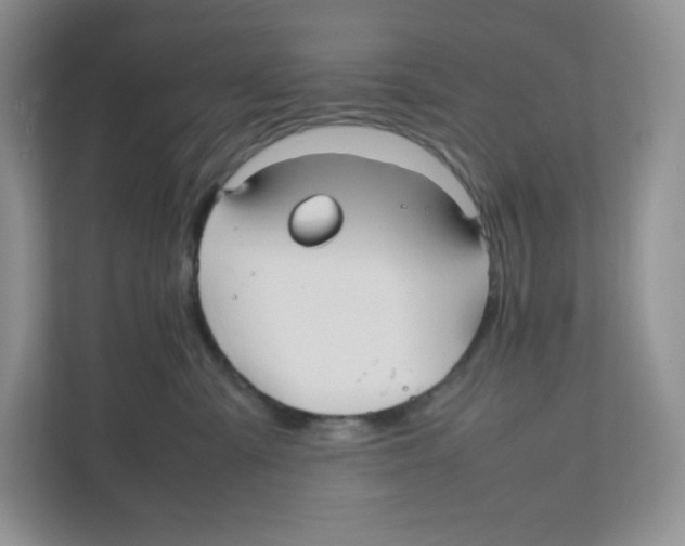 X0000111190427200907291208