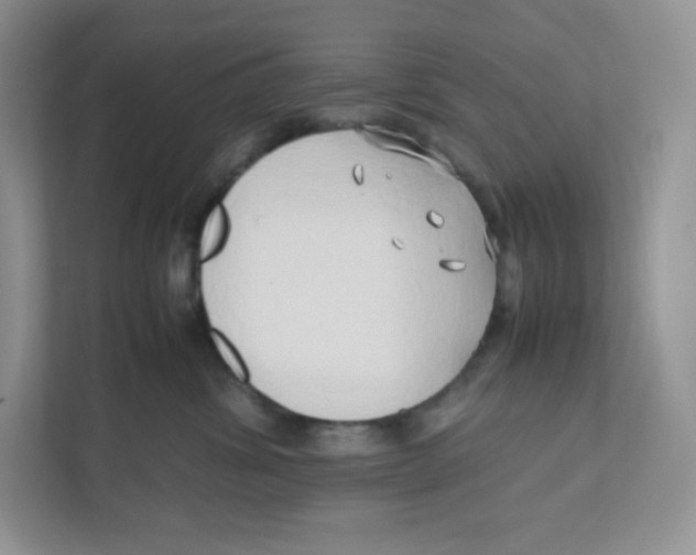 X0000111190428200907291208