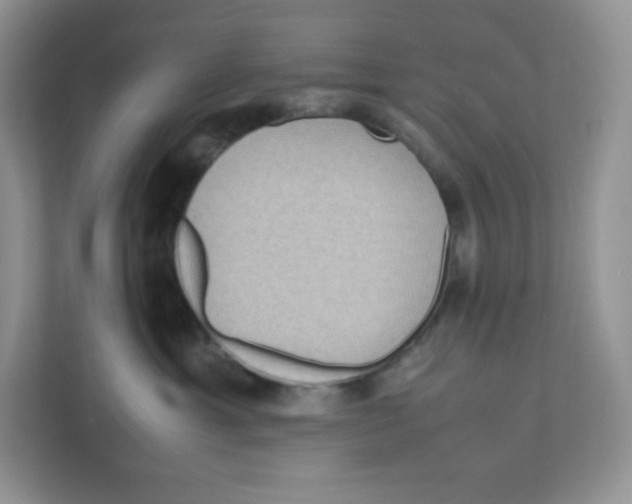 X0000111190429200907291207