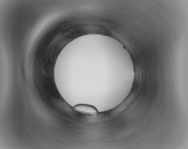 X0000111190430200907291207