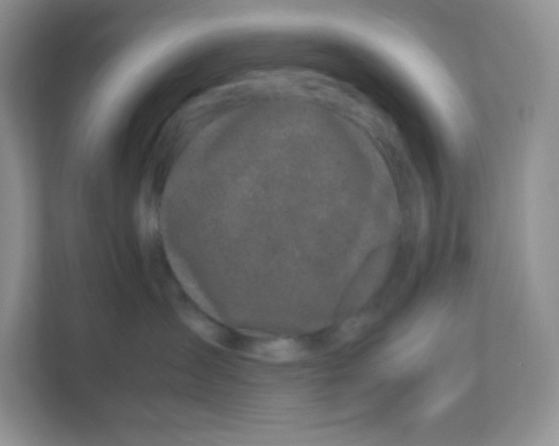 X0000111190431200907291207