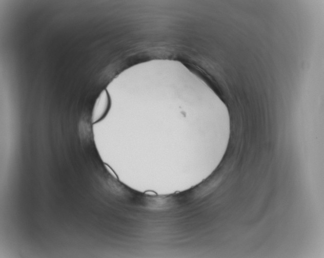 X0000111190432200907291207