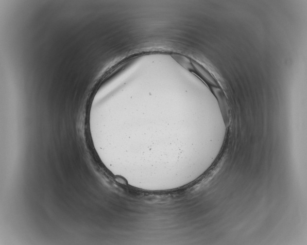 X0000111190434200907291207
