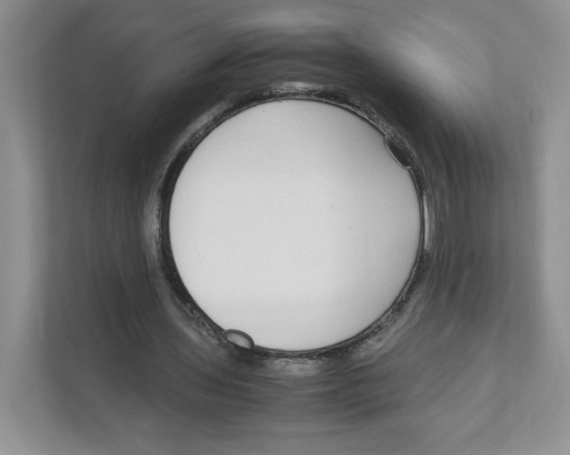 X0000111190435200907291207