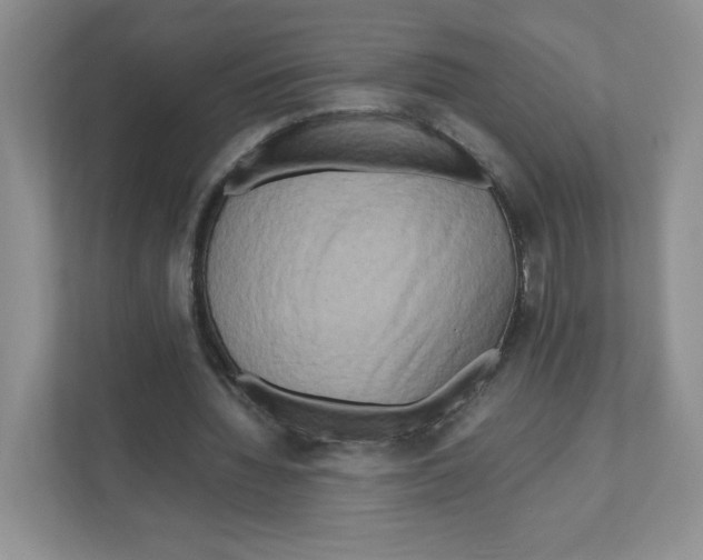 X0000111190436200907291207