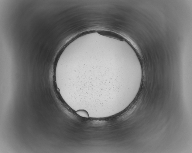 X0000111190437200907291207