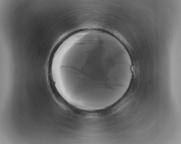 X0000111190438200907291207