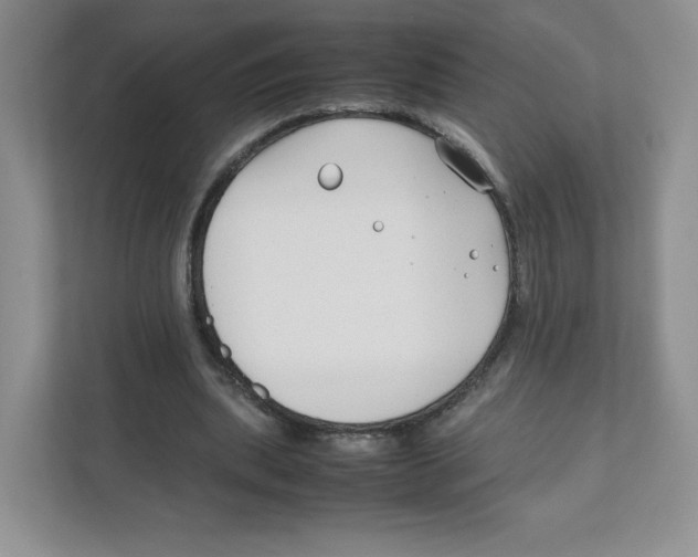 X0000111190439200907291207