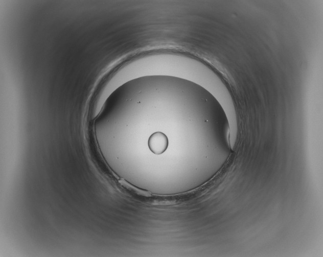 X0000111190440200907291207
