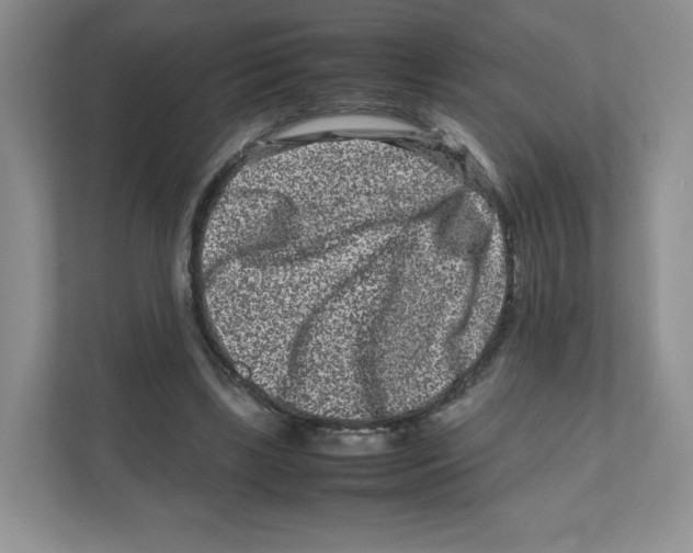 X0000111190443200907291207