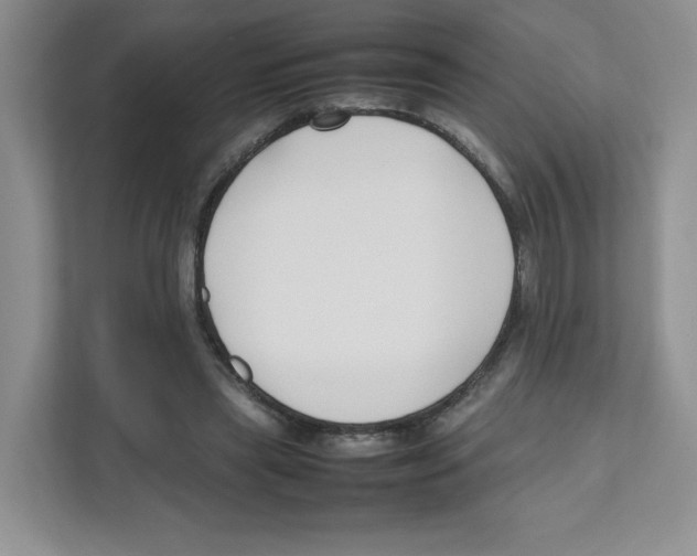 X0000111190445200907291207