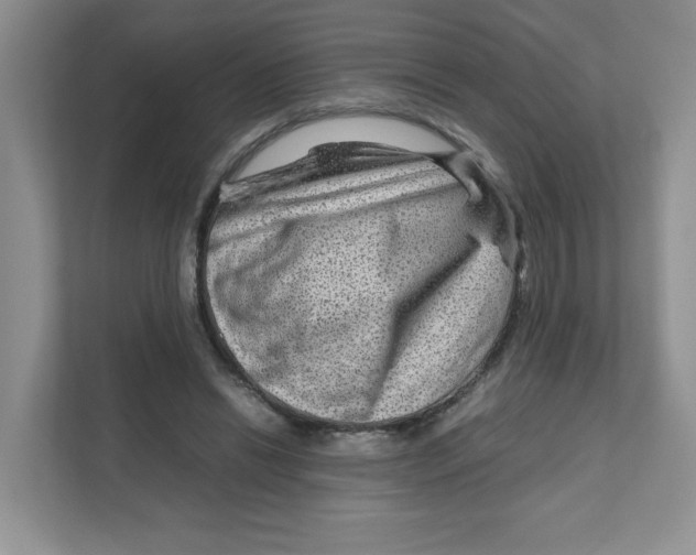 X0000111190446200907291207