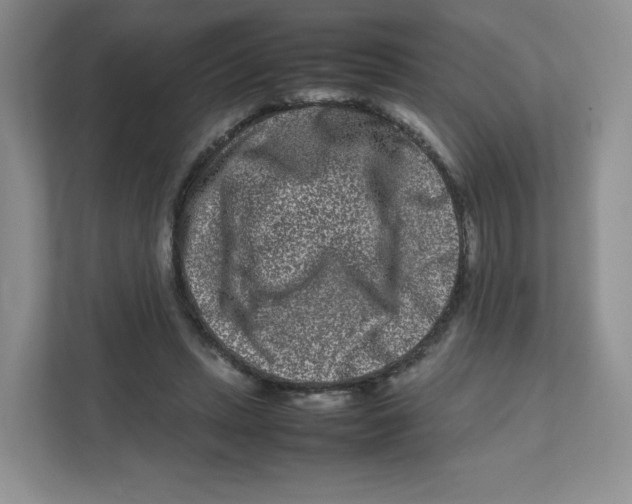X0000111190447200907291207