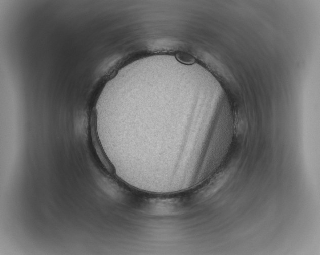 X0000111190448200907291207
